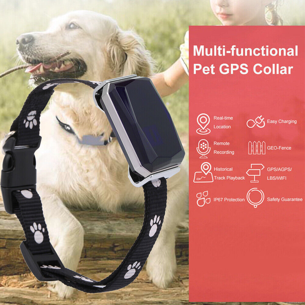 Pet Collar IP67 Smart GPS GSM LBS Tracker Realtime Dogs Cats Locator SOS Y2C7